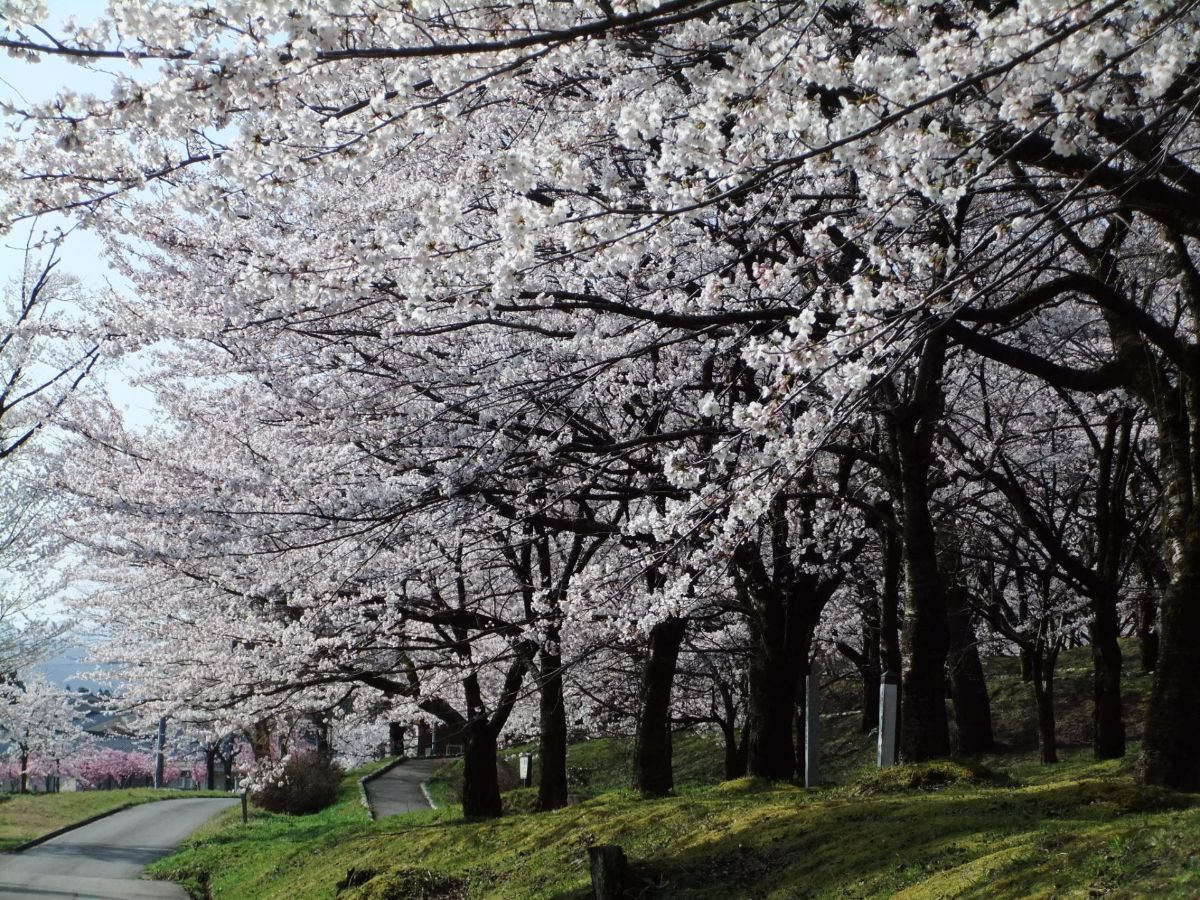 Muramatsu Park