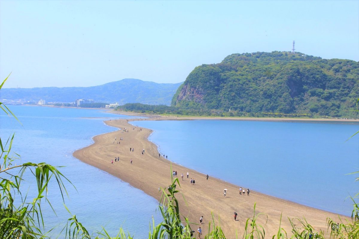 知林ヶ島