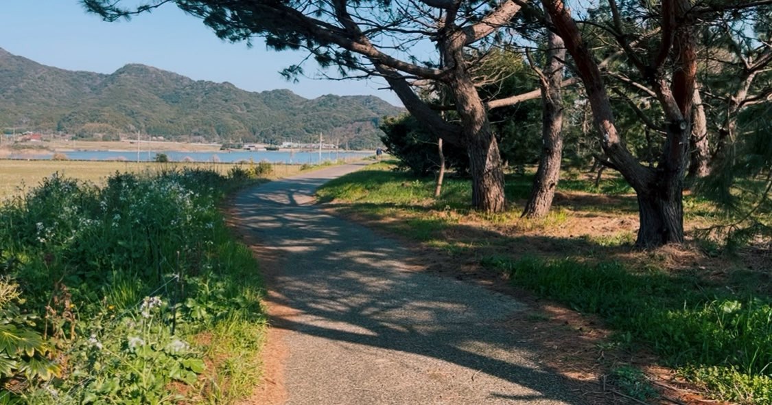 波の橋立遊歩道